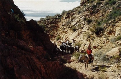 Paseos por la estancia